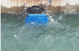 科諾案例—新加坡某港口護舷貼面板使用